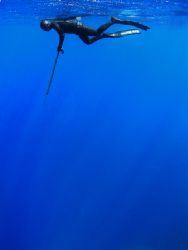 Spearfishing in Crete, Greece by Charalampos Stratoudakis 